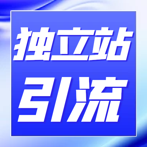 独立站引流你会怎么选？谷歌广告、SEO还是社媒？还是其他？
